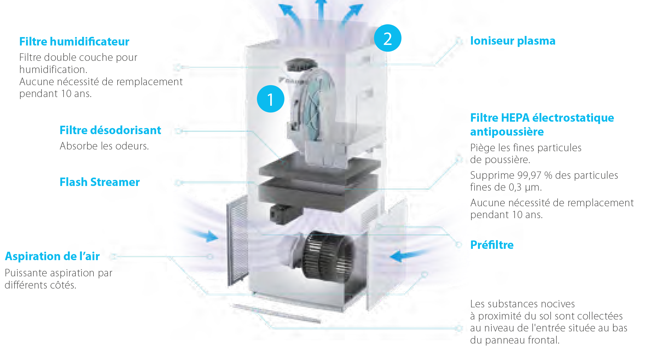 Femmes éternuant à cause d'allergies