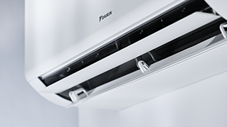 CTXM-A_Details_07.tif