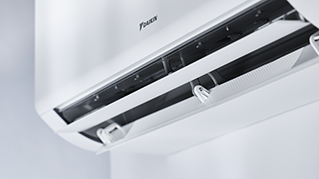FTXM-A_Details_06.tif